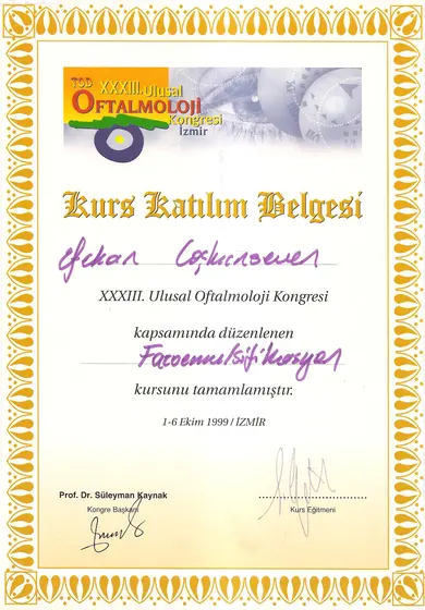 TOD XXXIII. Ulusal Kongre kursu — Fakoemülsifikasyon — Türk Oftalmoloji Derneği, İzmir